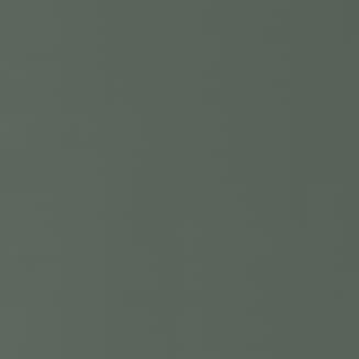 AFP - Forest Green 311
