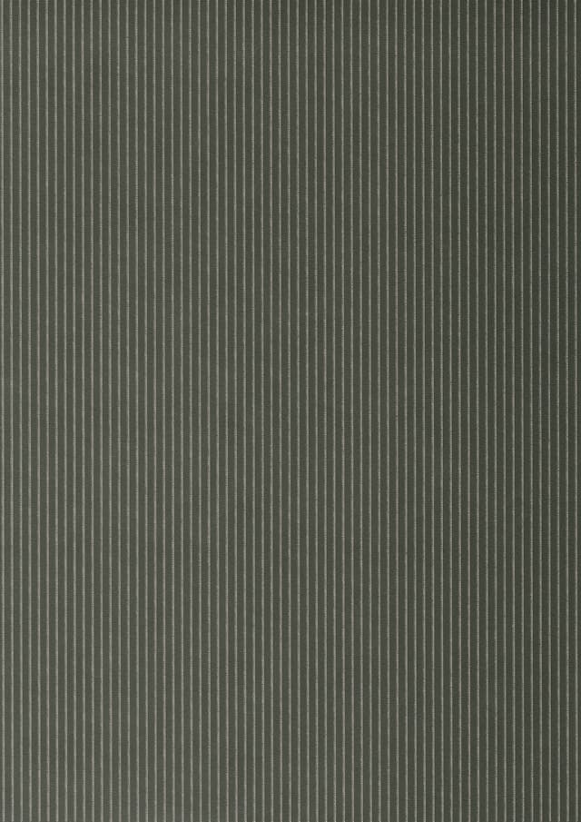نمای نزدیک پنل PET و PVC پاکچوب طرح Verdigris Green Stripe 596
