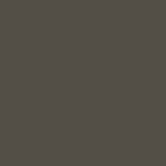 پنل PET و PVC پاکچوب طرح AFP Metallic Bronze 304