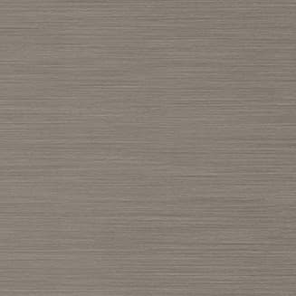 پنل PET و PVC پاکچوب طرح HG Elegant Inox 590