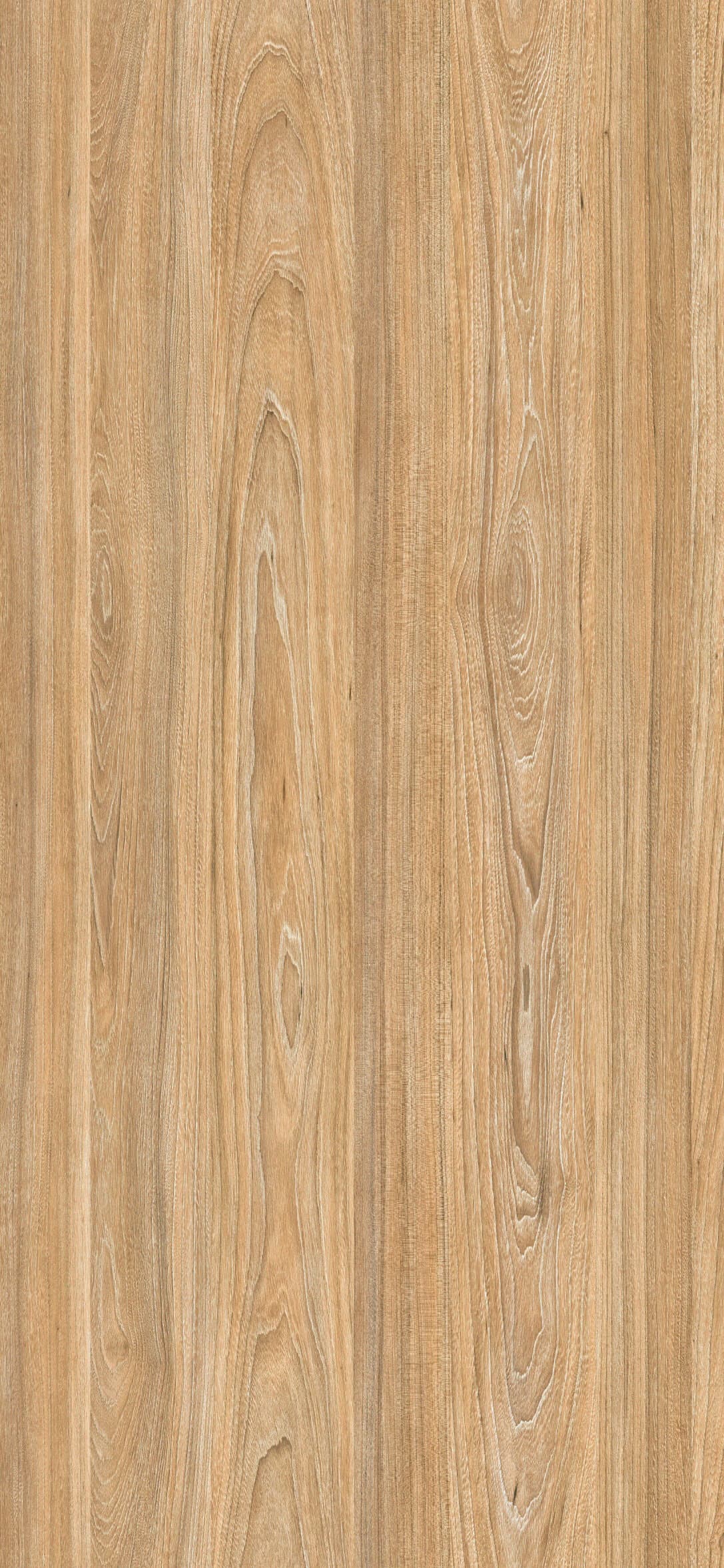 پنل ملامینه پاکچوب طرح Light Swiss Elm 5503