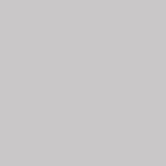 Shale Grey 1134