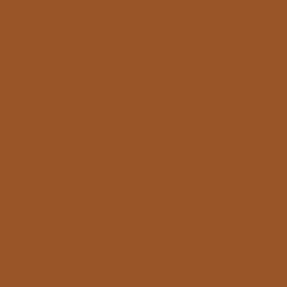 پنل PET و PVC تک رنگ AFP Amber 325 پاکچوب