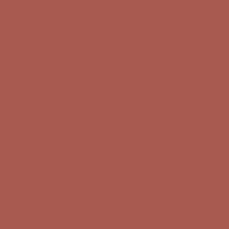 AFP - Clay 313