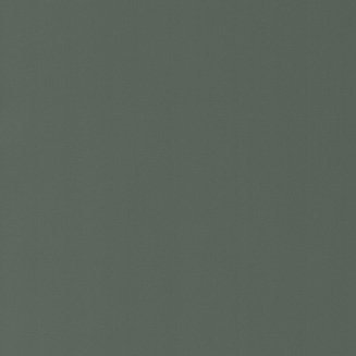 AFP - Forest Green 311