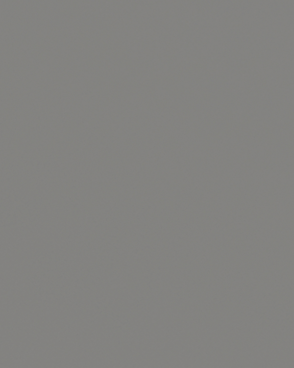 DUST GRAY