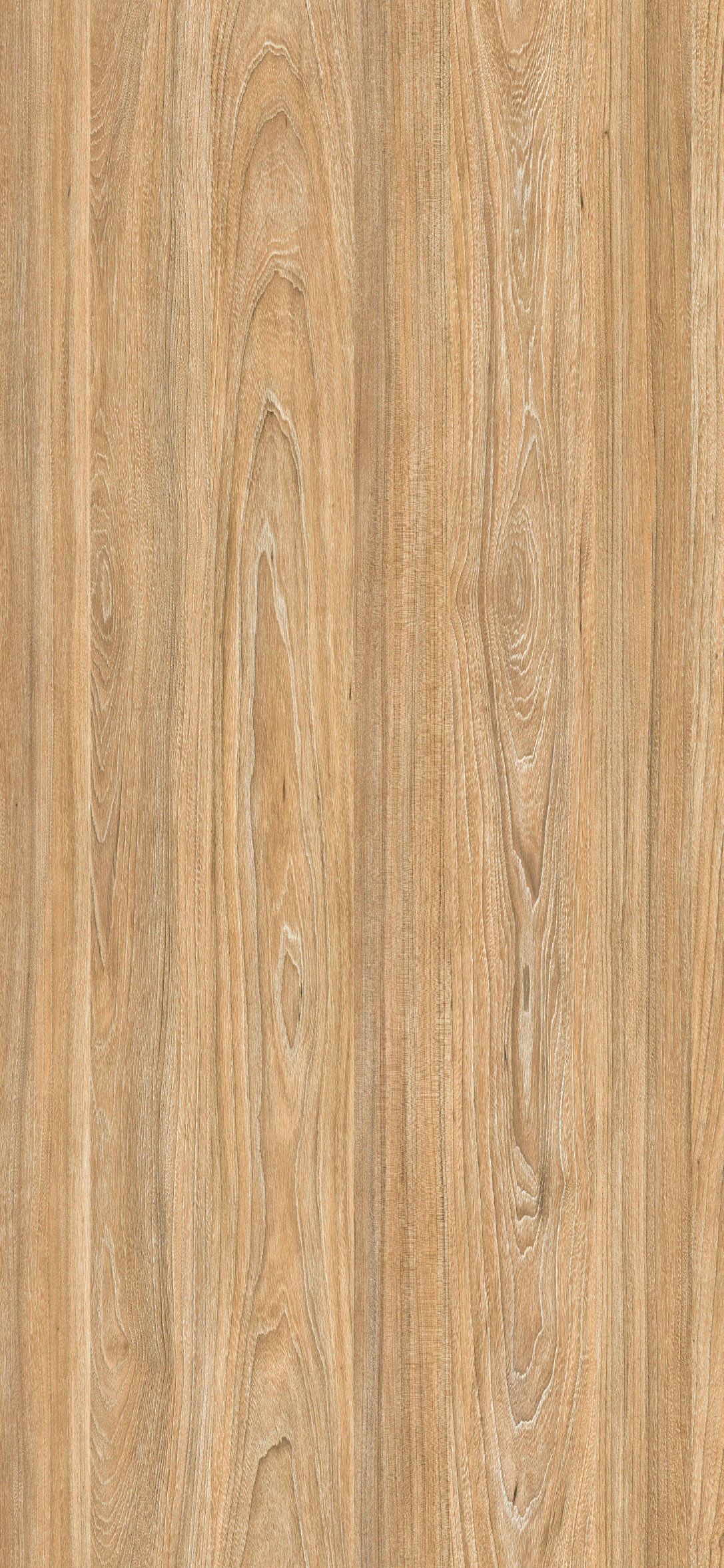 پنل ملامینه پاکچوب طرح Light Swiss Elm 5503