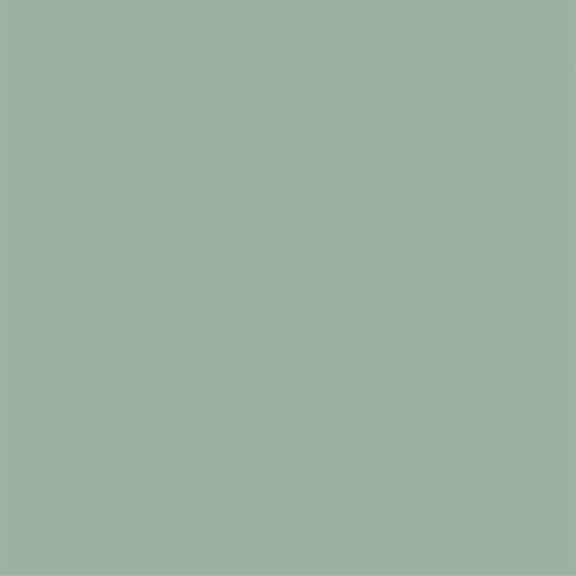 پنل PET و PVC تک رنگ Soft Touch Leach Green 321 پاکچوب