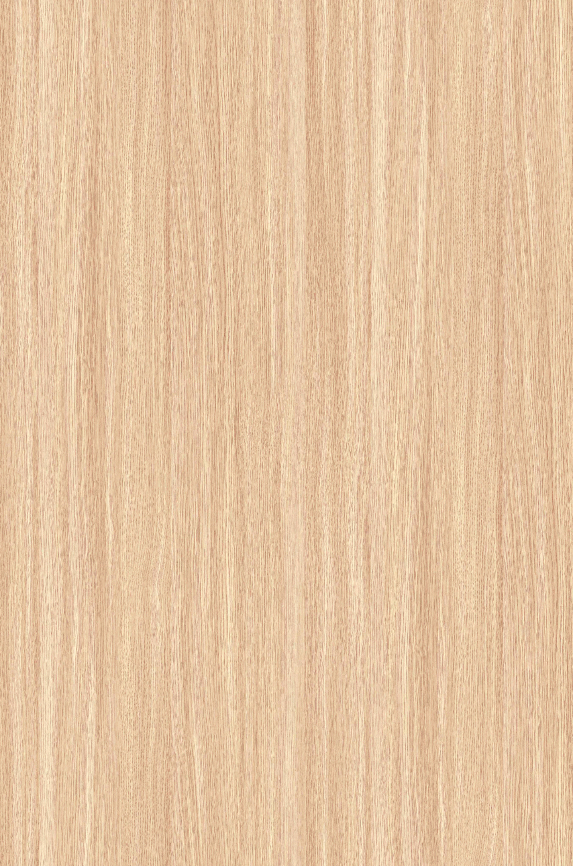 پنل روکش ملامینه پاکچوب طرح White Oak 2034 با بافت چوب بلوط سفید